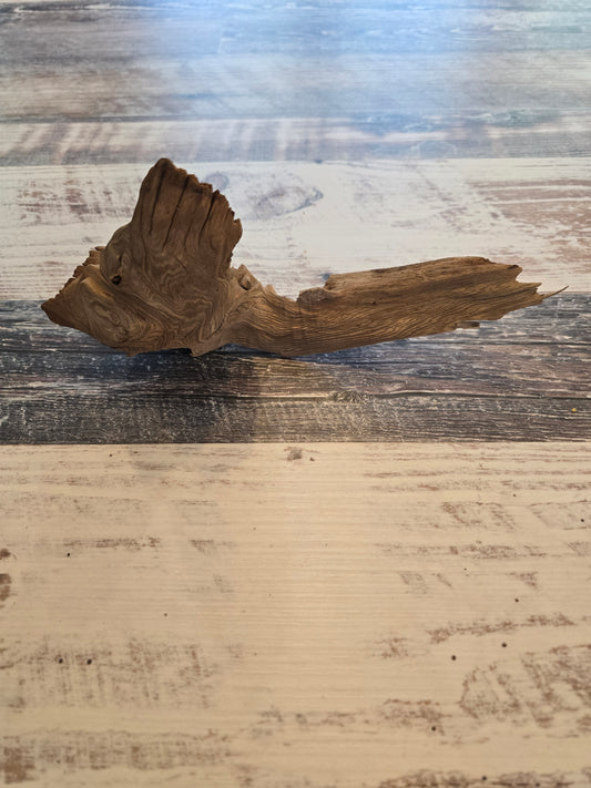 9.5 inches long 4.75 inches tall 3 inches wide #1005