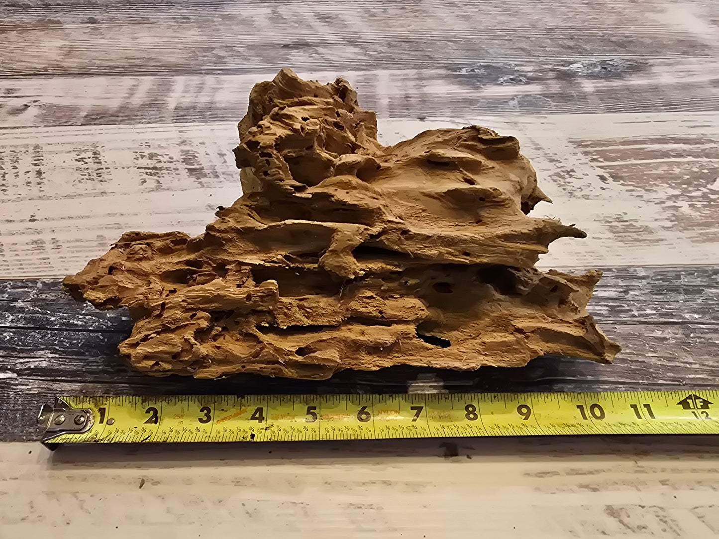 Treated pecky Cypress driftwood