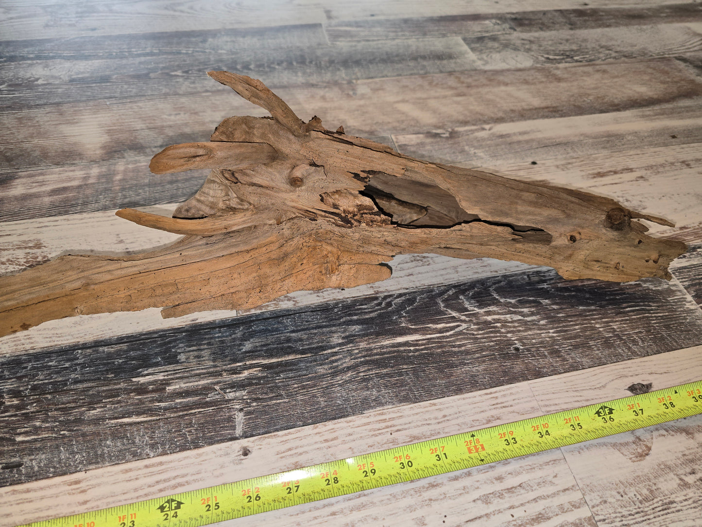 Cypress driftwood #1013