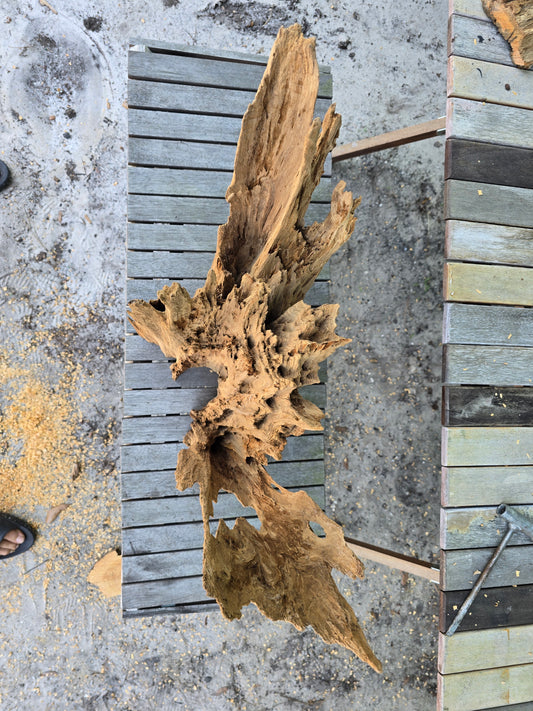 Saline L aquarium piece