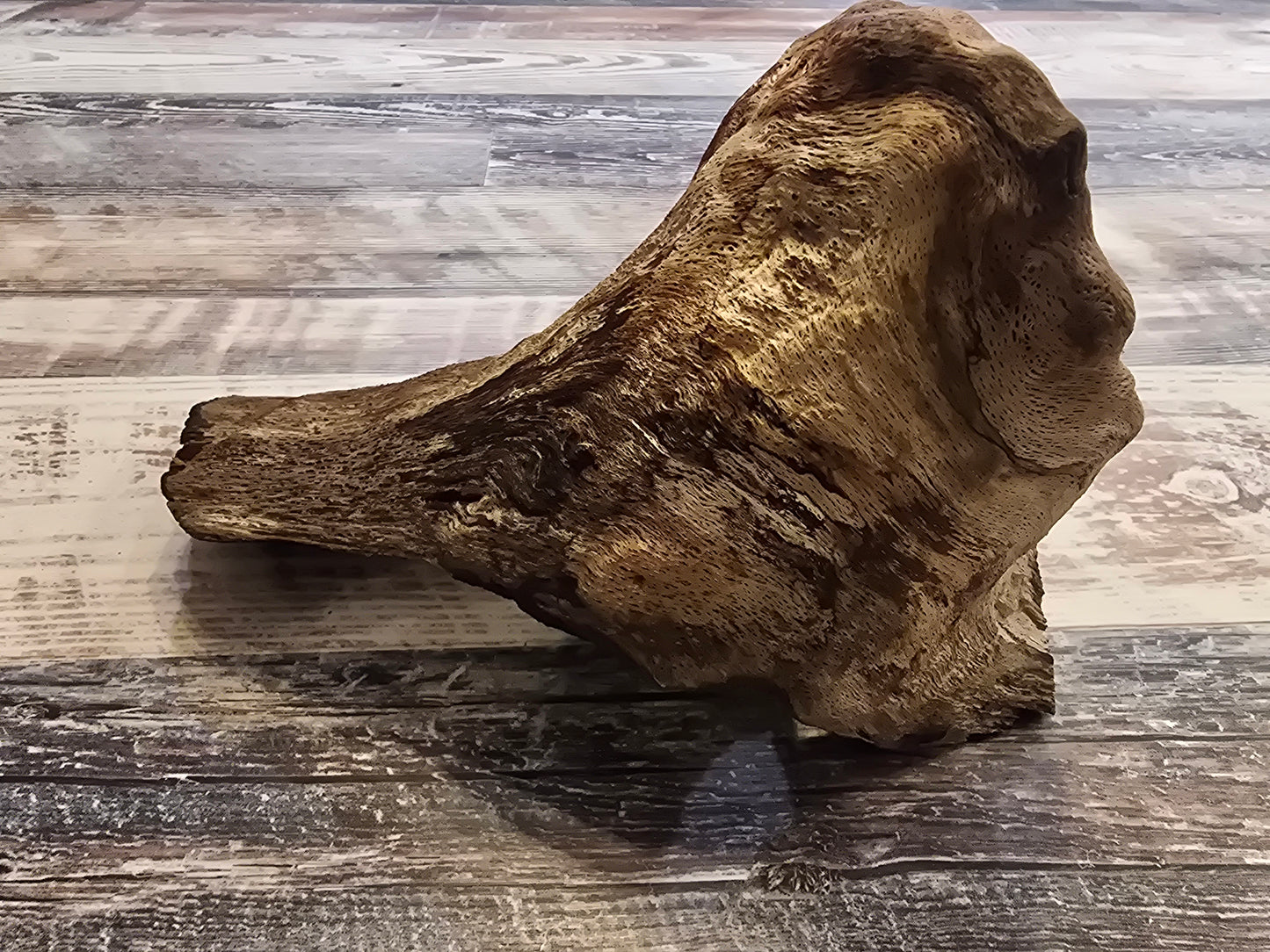 Unknown wood type treated #1019