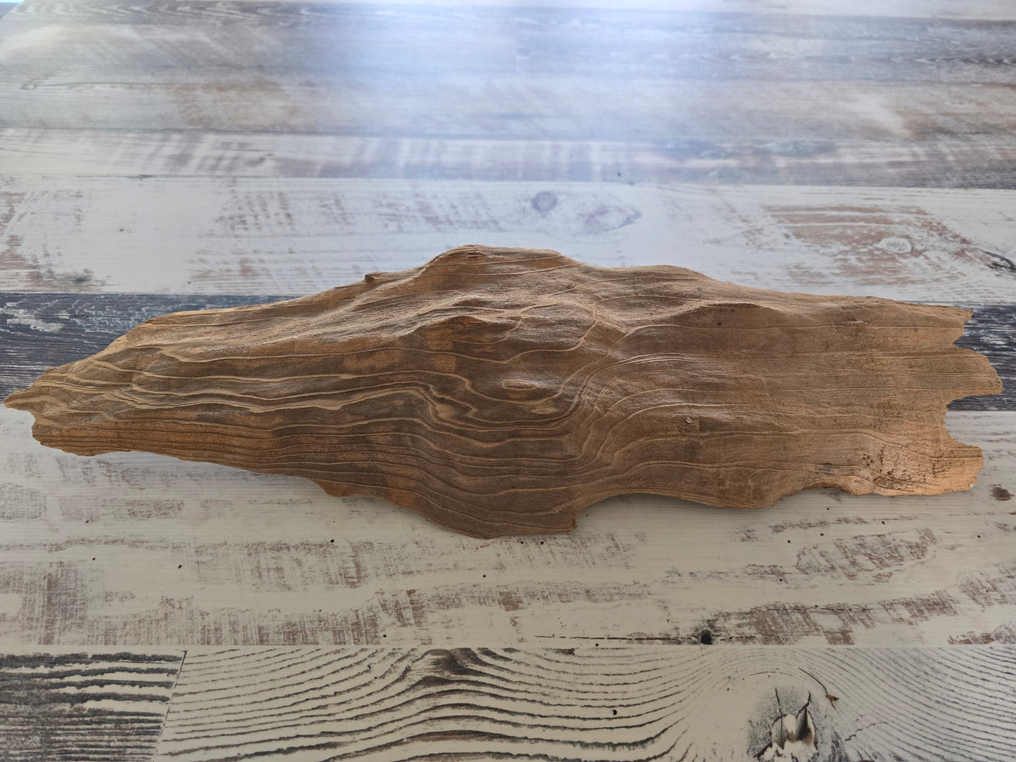 Small slab of treated Cypress driftwood #1015
