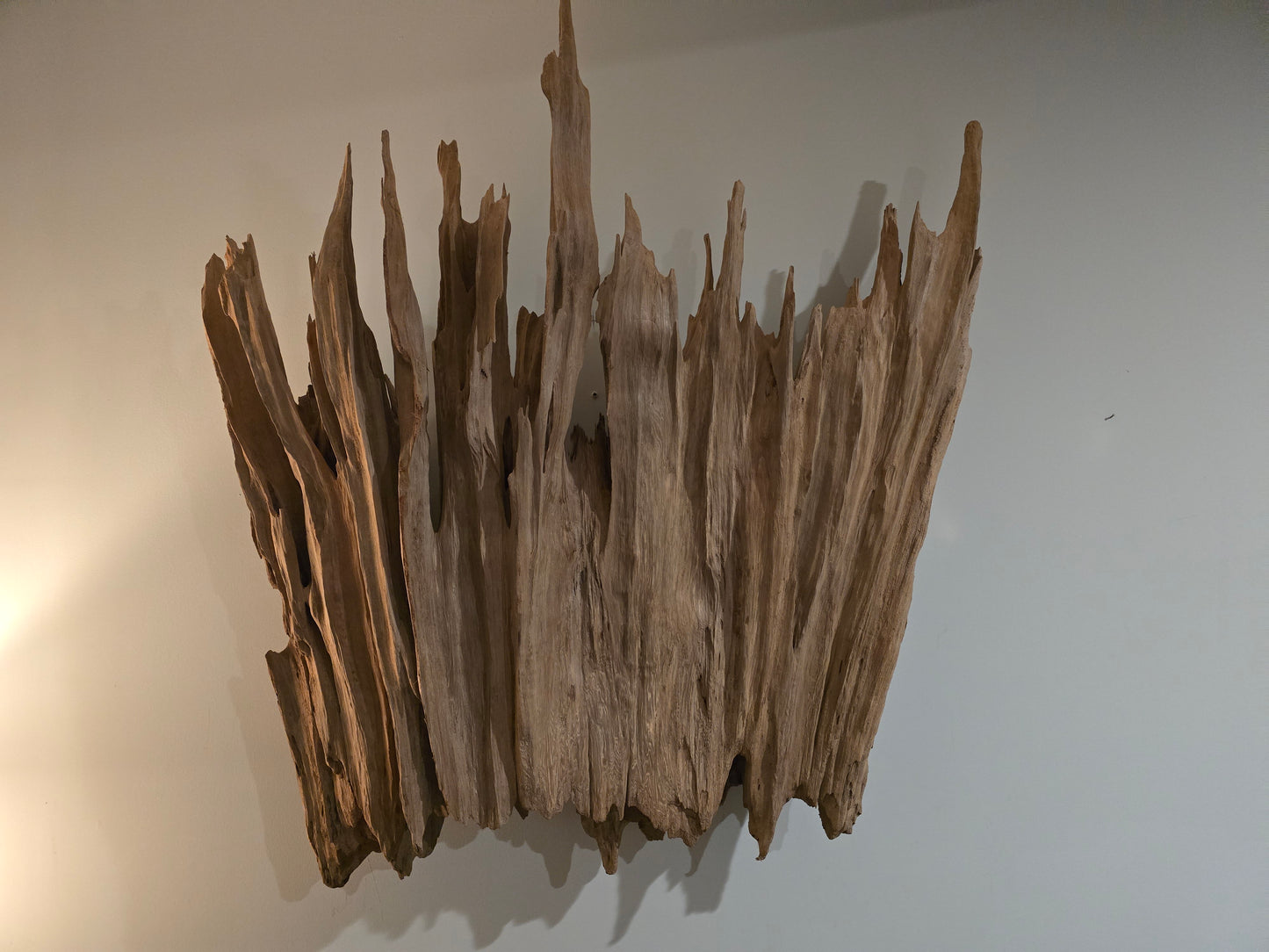 Beautiful large Cypress buttress slab treated