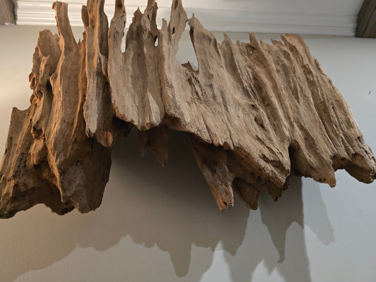 Beautiful large Cypress buttress slab treated