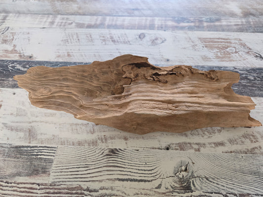 Small slab of treated Cypress driftwood #1015
