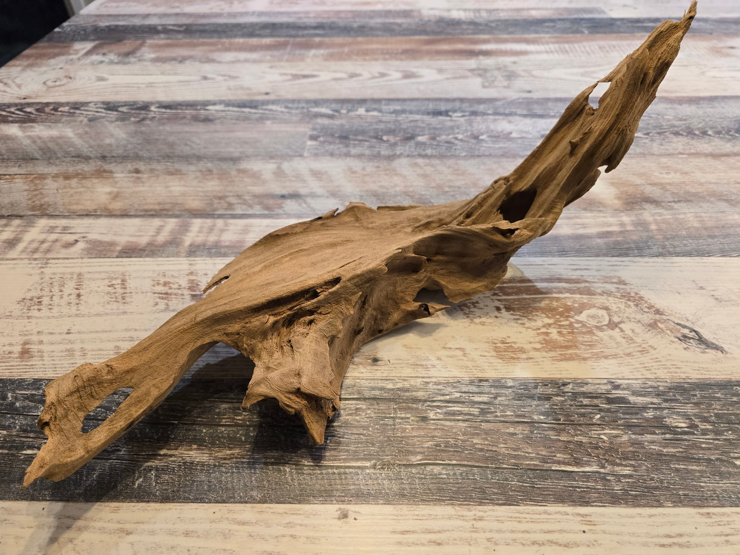 Treated Cypress driftwood