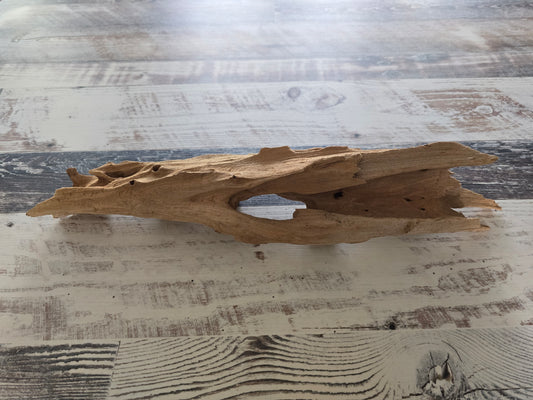 Small treated Cypress