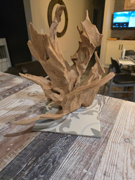 Cypress sculpture mounted to tile for aquarium use. #1006