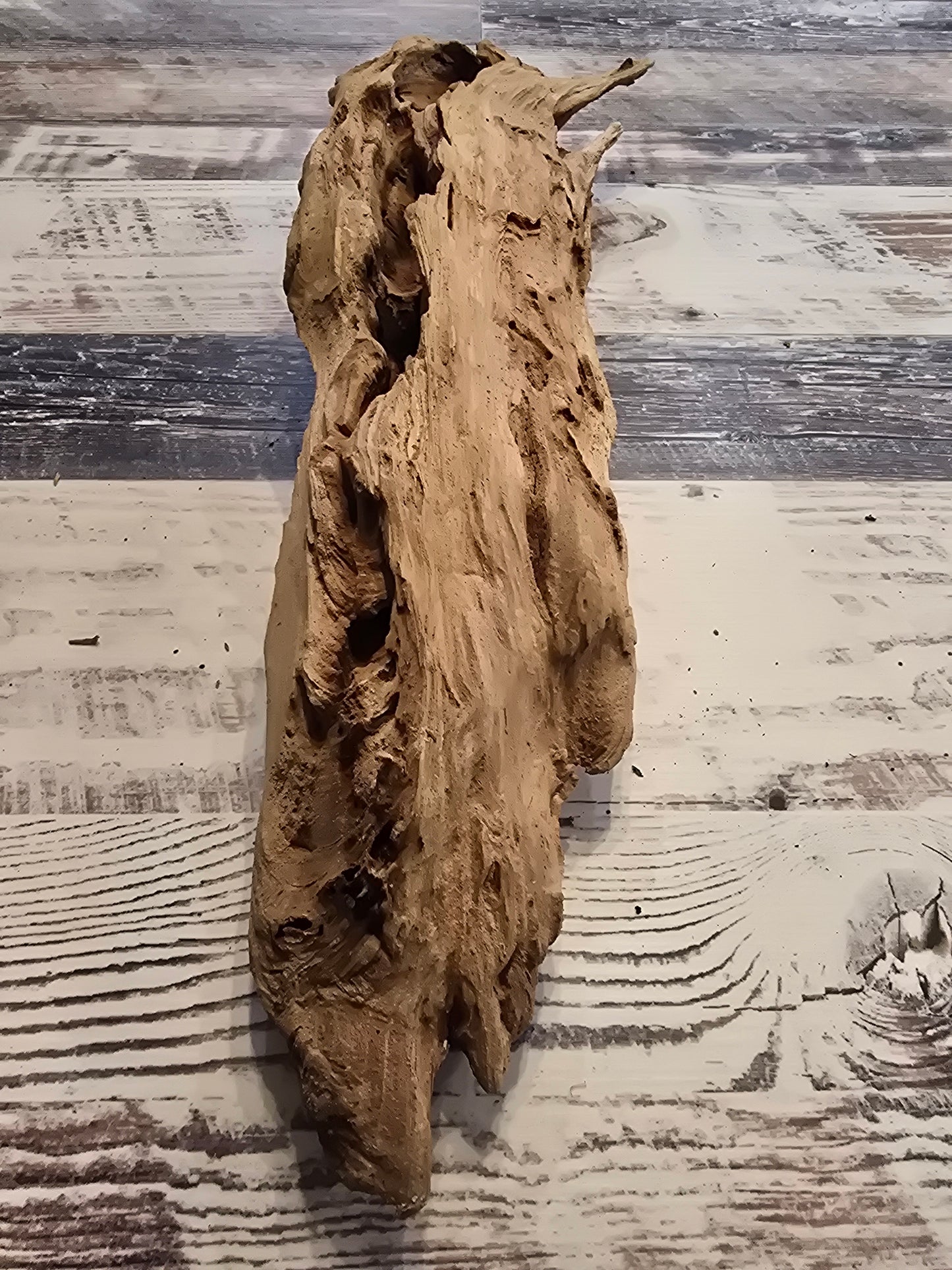 Treated Cypress driftwood small #1018