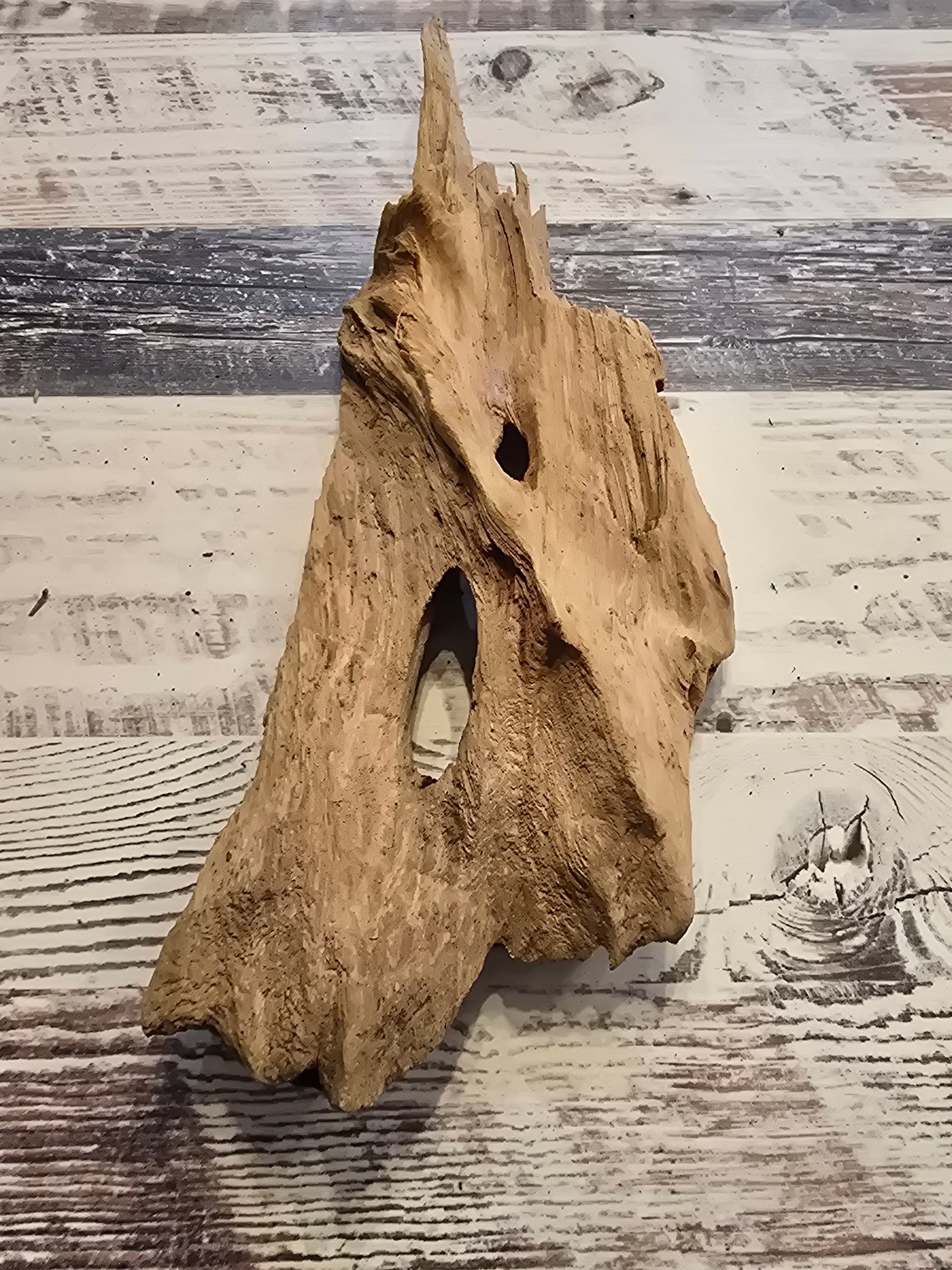 Treated Cypress driftwood #1016