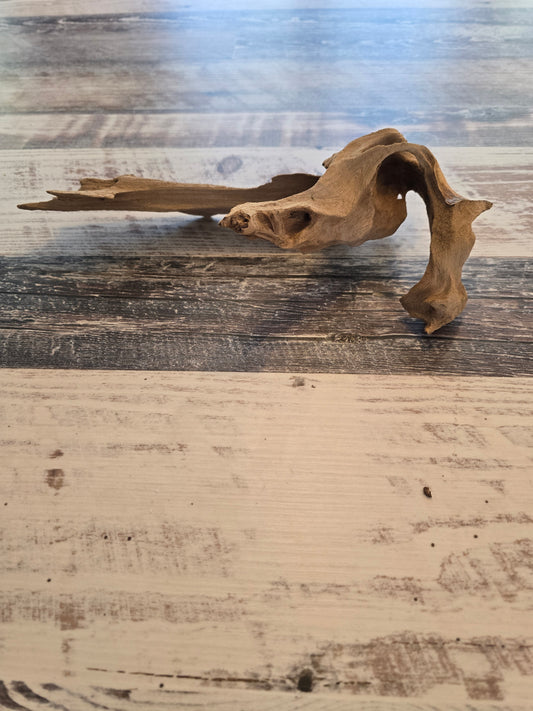 12 inches long 3.25 inches tall 7 inches wide #1007