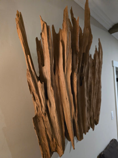 Beautiful large Cypress buttress slab treated