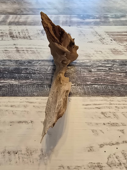 9.5 inches long 4.75 inches tall 3 inches wide #1005