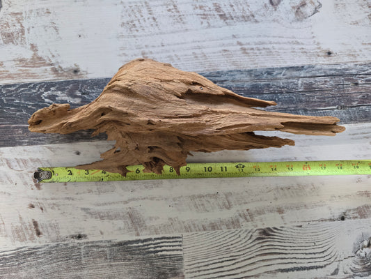 Small treated pecky Cypress driftwood knot #1014