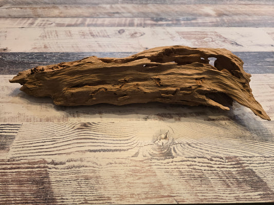 Treated Cypress driftwood small #1018