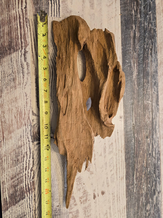 Treated Cypress driftwood #1016