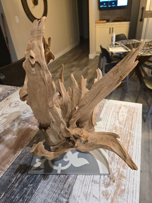 Cypress sculpture mounted to tile for aquarium use. #1006