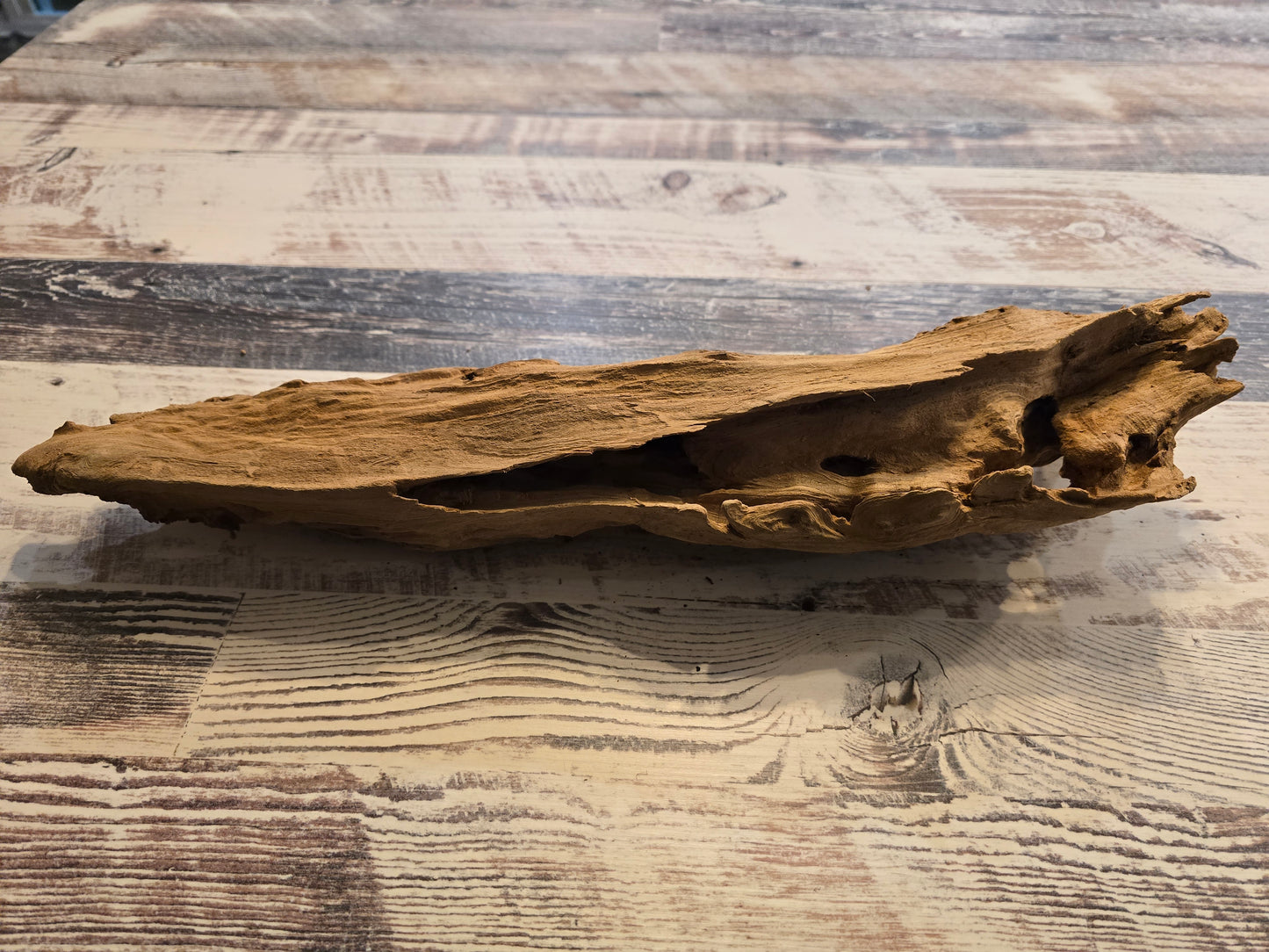 Treated Cypress driftwood small #1018