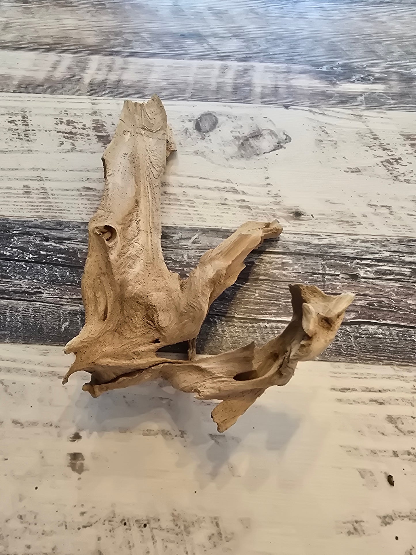 12 inches long 3.25 inches tall 7 inches wide #1007