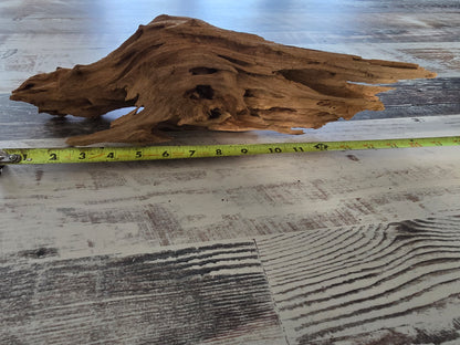 Small treated pecky Cypress driftwood knot #1014