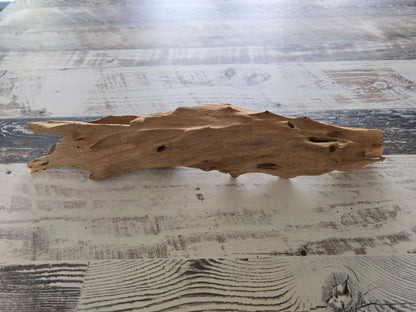 Small treated Cypress