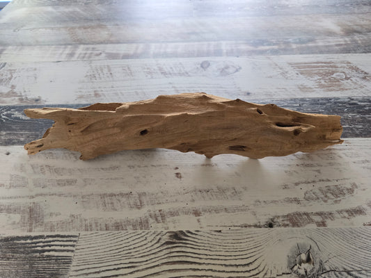 Small treated Cypress