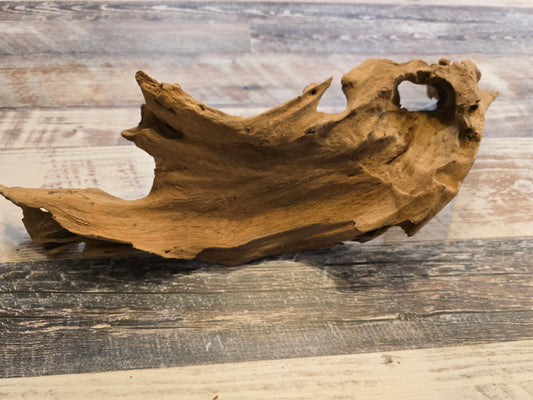 Treated Cypress driftwood