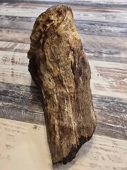 Unknown wood type treated #1019