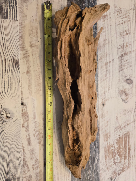 Treated Cypress driftwood small #1018