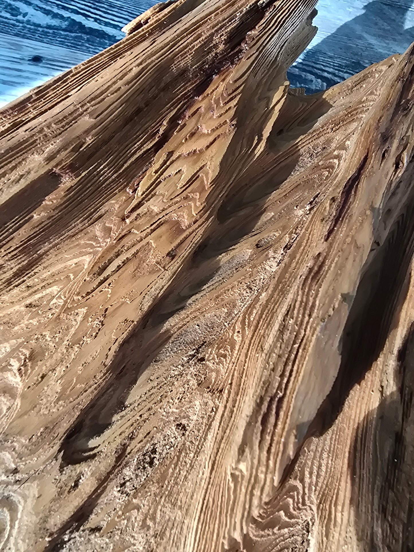 Rare treated external cypress core slab