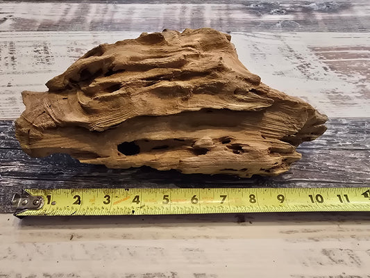 Treated pecky Cypress driftwood